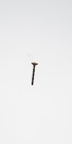 2013 Suche 29062013 Michal